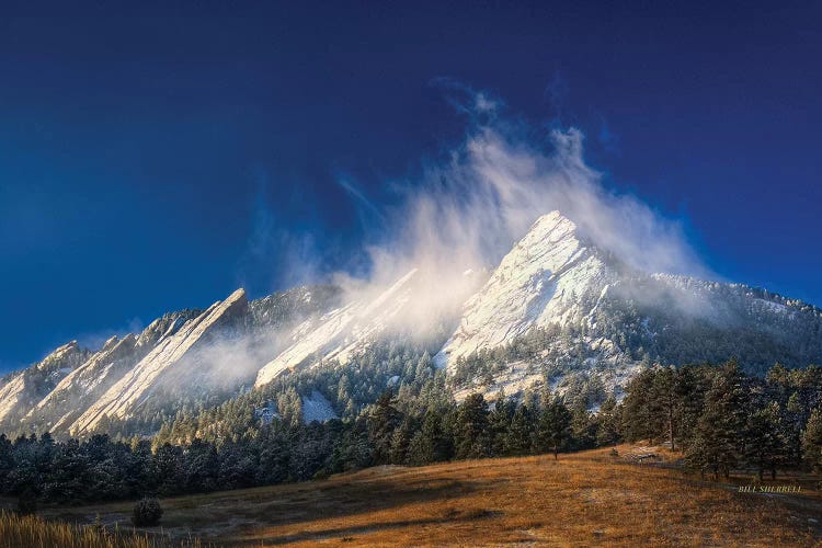 Frozen Whimsey by Bill Sherrell wall art