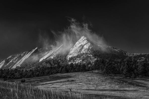 Bill Sherrell: Frozen Whimsey, B&W by Bill Sherrell