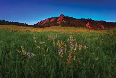Glowing Flatirons And Wildflowers by Bill Sherrell canvas print