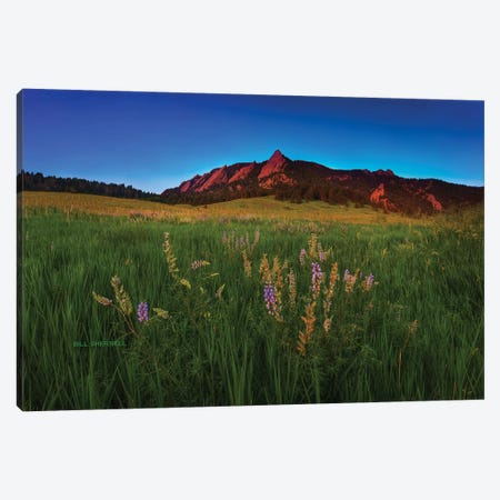 Glowing Flatirons And Wildflowers Canvas Print #SHL116} by Bill Sherrell Canvas Artwork