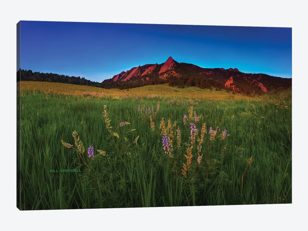 Glowing Flatirons And Wildflowers by Bill Sherrell 1-piece Canvas Wall Art
