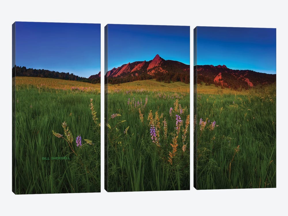 Glowing Flatirons And Wildflowers by Bill Sherrell 3-piece Canvas Art