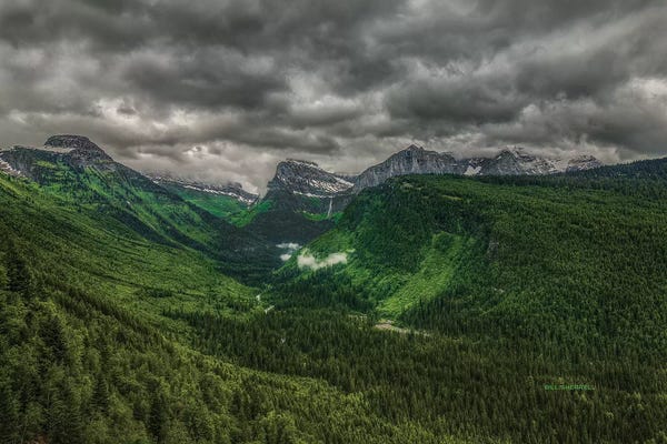 Bill Sherrell: Going Green by Bill Sherrell