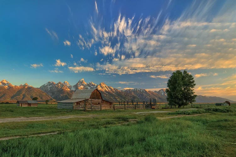 Golden Teton Morning