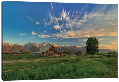 Golden Teton Morning Canvas Art Print - Sunrises & Sunsets Scenic Photography