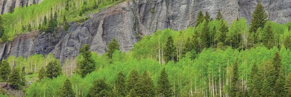 Bill Sherrell: Green Dream by Bill Sherrell