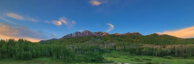 Green Serenity by Bill Sherrell canvas print