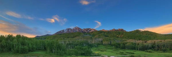 Bill Sherrell: Green Serenity by Bill Sherrell