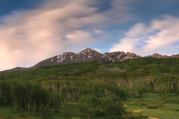 Bill Sherrell: High Velocity by Bill Sherrell