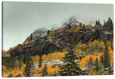 In The Wake Of Autumn Canvas Art Print - Bill Sherrell