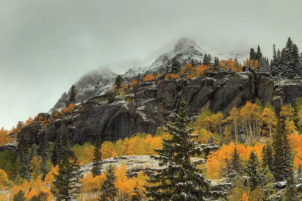 Evergreen Trees: In The Wake Of Autumn by Bill Sherrell