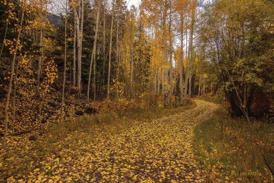 Last Chance Romance by Bill Sherrell acrylic art print