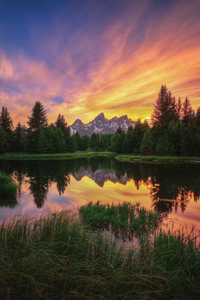 Evergreen Trees: Last Rays Over The Grand Tetons by Bill Sherrell