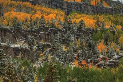 Ledges Of Gold by Bill Sherrell canvas print