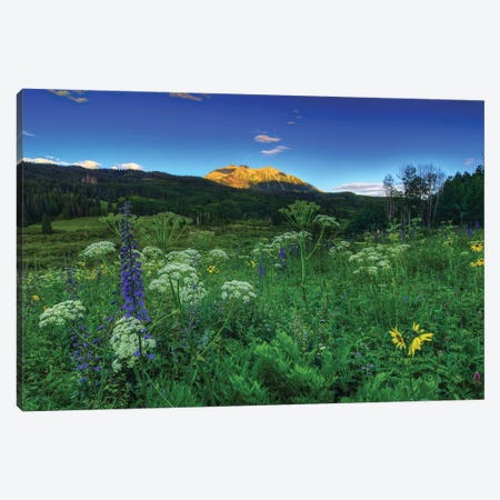 Light Whispers And Wildflowers Canvas Print #SHL135} by Bill Sherrell Canvas Art