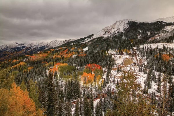 Evergreen Trees: Mining For Color by Bill Sherrell
