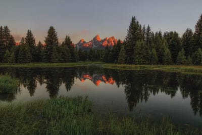 Morning Glory by Bill Sherrell framed wall art