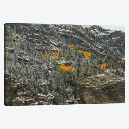 Mountain Lace And Autumn Pockets Canvas Print #SHL141} by Bill Sherrell Canvas Wall Art