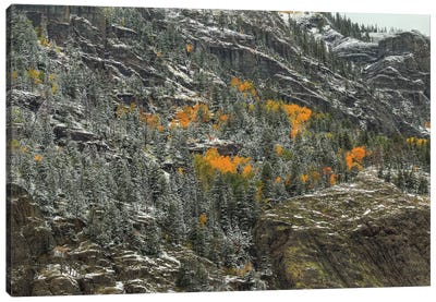 Mountain Lace And Autumn Pockets Canvas Art Print - Snowy Mountain Art