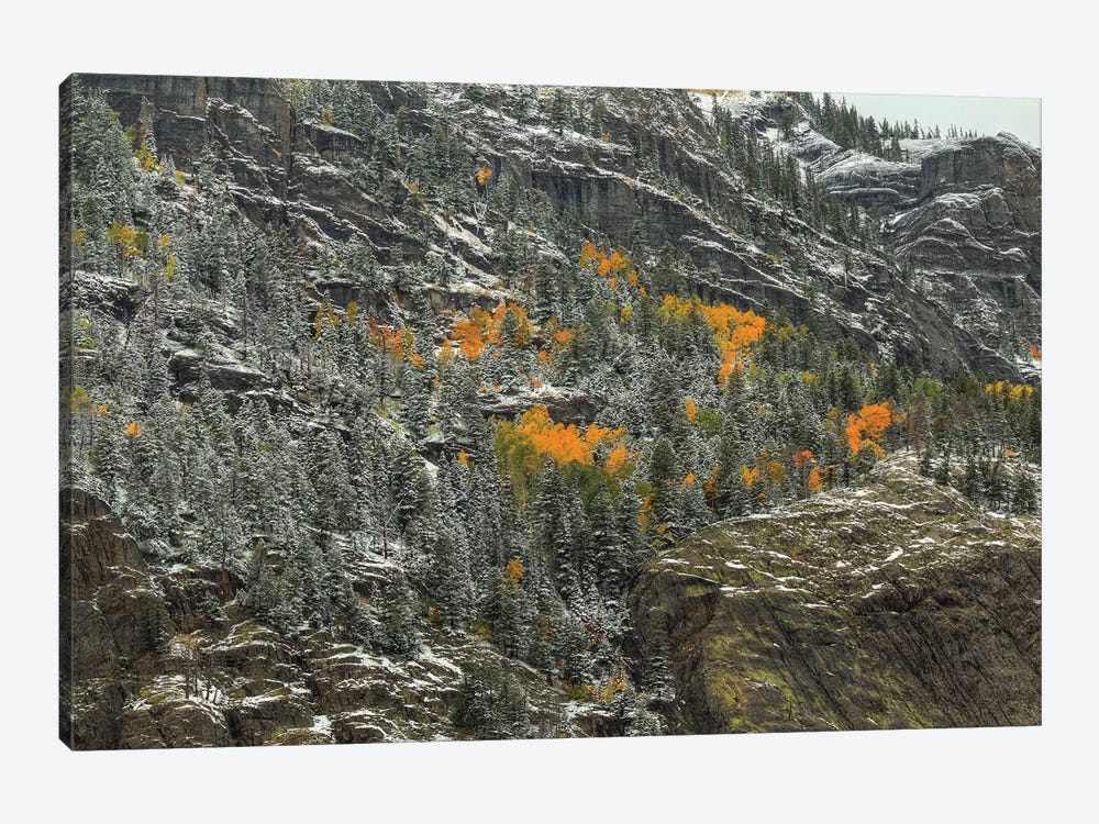 Mountain Lace And Autumn Pockets by Bill Sherrell 1-piece Canvas Wall Art