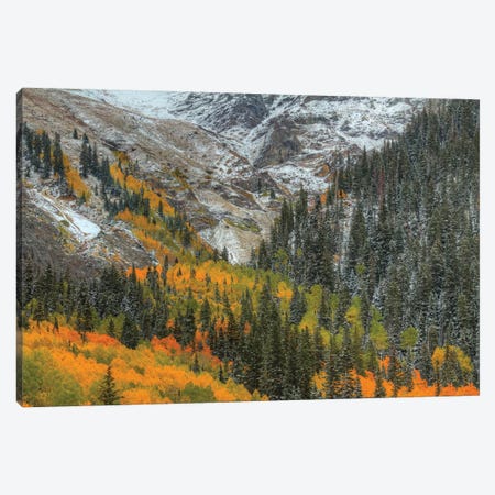 Mountains And Aspens Canvas Print #SHL144} by Bill Sherrell Canvas Print