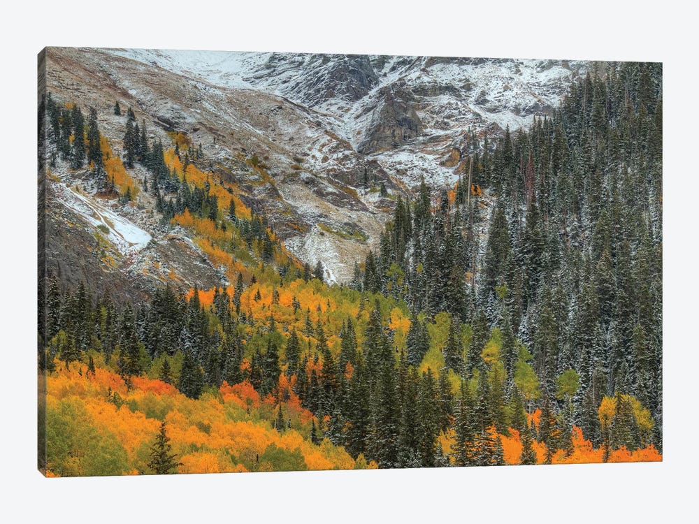 Mountains And Aspens by Bill Sherrell 1-piece Canvas Print