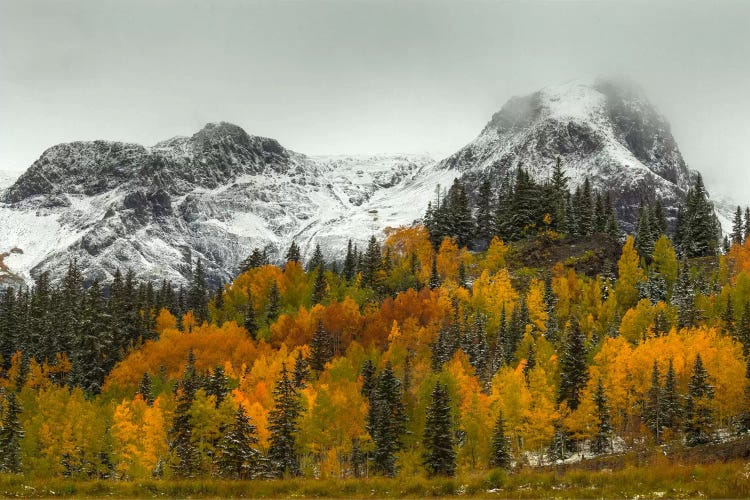 A Rocky Mountain Autumn