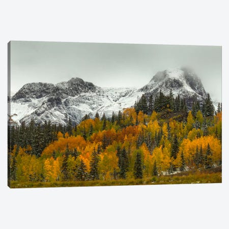 A Rocky Mountain Autumn Canvas Print #SHL14} by Bill Sherrell Canvas Art