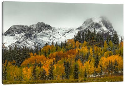 A Rocky Mountain Autumn Canvas Art Print - Snowy Mountain Art