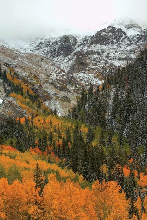 Orange Flames by Bill Sherrell wall art