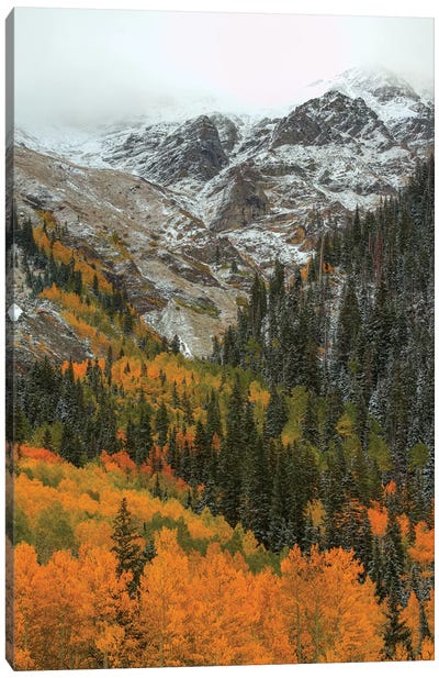 Orange Flames Canvas Art Print - Snowy Mountain Art