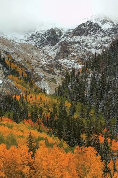 Snowy Mountains: Orange Flames by Bill Sherrell