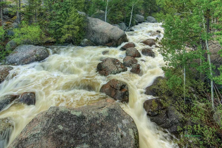 Rapid Change by Bill Sherrell wall art