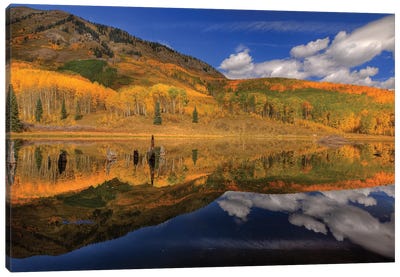 Reflecting On Autumn Canvas Art Print - Bill Sherrell