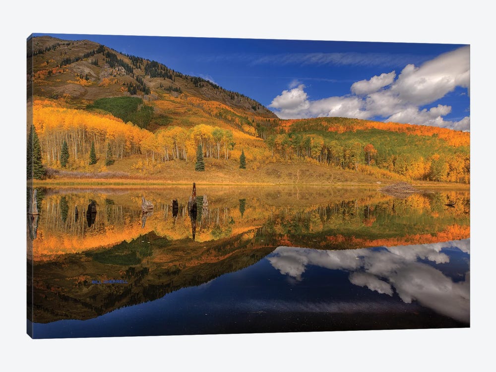 Reflecting On Autumn by Bill Sherrell 1-piece Canvas Artwork