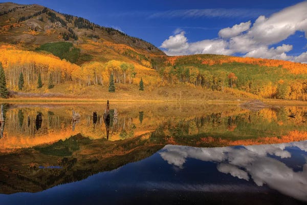 Bill Sherrell: Reflecting On Autumn by Bill Sherrell