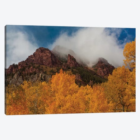 Ruggedness Unveiled Canvas Print #SHL174} by Bill Sherrell Canvas Wall Art
