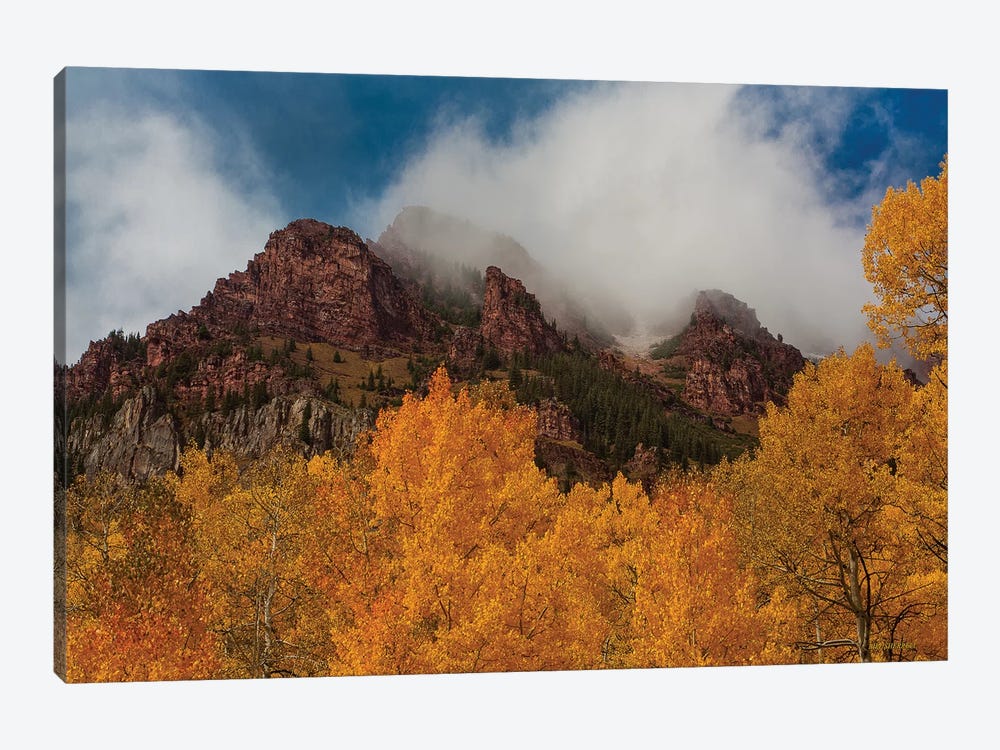 Ruggedness Unveiled by Bill Sherrell 1-piece Canvas Art