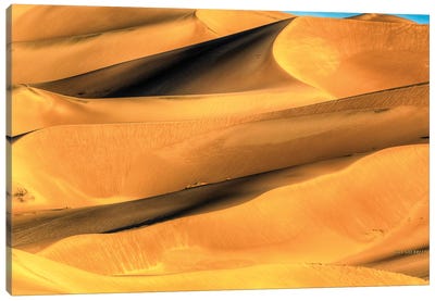 Sand Dune Patterns Canvas Art Print - Desert Art