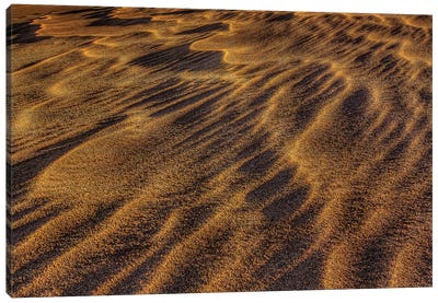 Sand Waves Canvas Art Print - Bill Sherrell