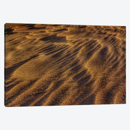 Sand Waves Canvas Print #SHL176} by Bill Sherrell Canvas Art