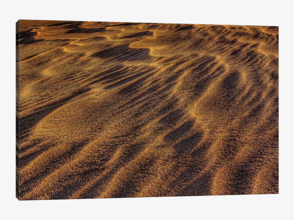 Sand Waves by Bill Sherrell 1-piece Canvas Wall Art