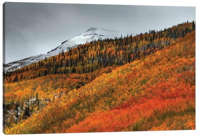 Shades Of Autumn Canvas Art Print - Bill Sherrell