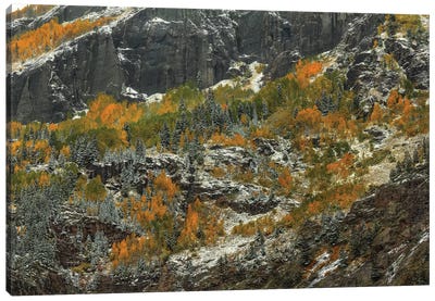 Sheer Cliffs And Dazzling Color Canvas Art Print - Bill Sherrell