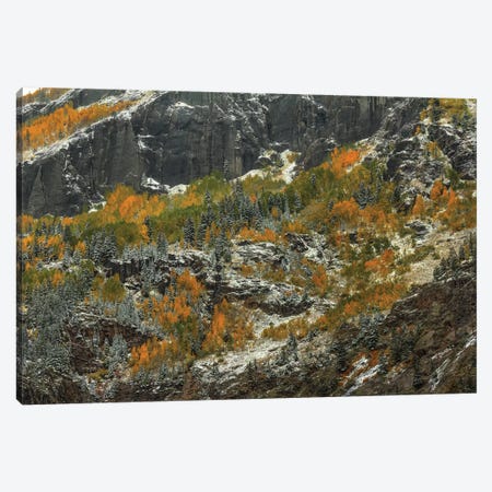 Sheer Cliffs And Dazzling Color Canvas Print #SHL179} by Bill Sherrell Canvas Art Print