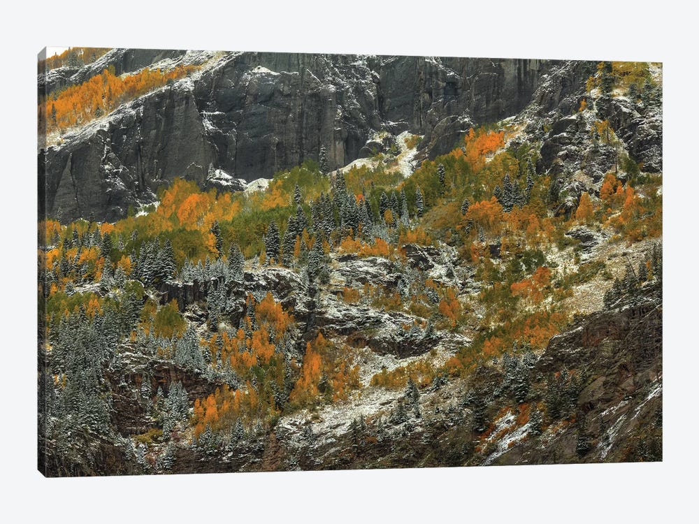 Sheer Cliffs And Dazzling Color by Bill Sherrell 1-piece Art Print