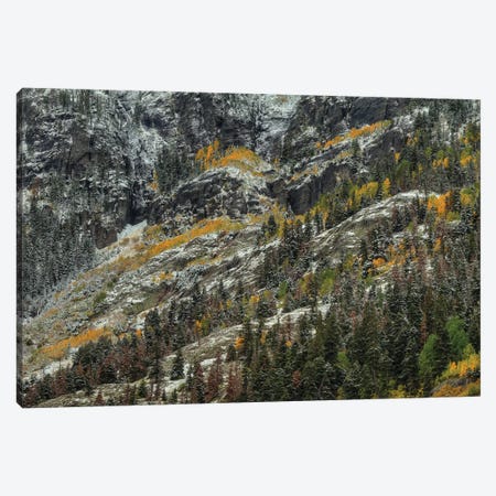 Slivers Of Color Canvas Print #SHL180} by Bill Sherrell Canvas Artwork