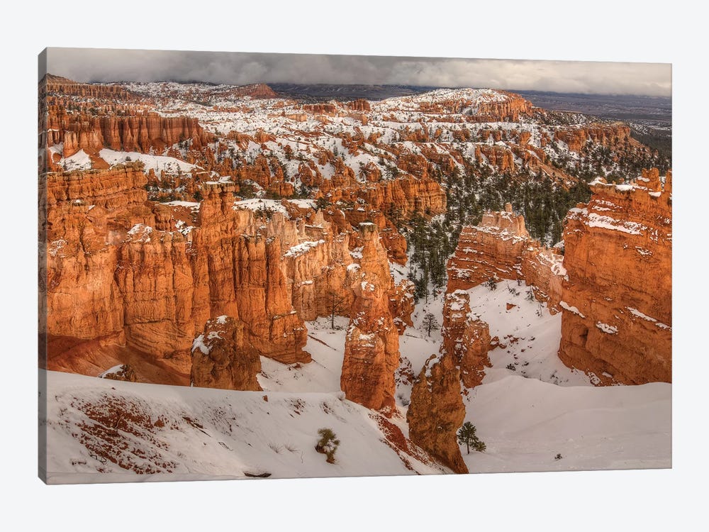 Storm Brewing Over Bryce Canyon by Bill Sherrell 1-piece Canvas Artwork