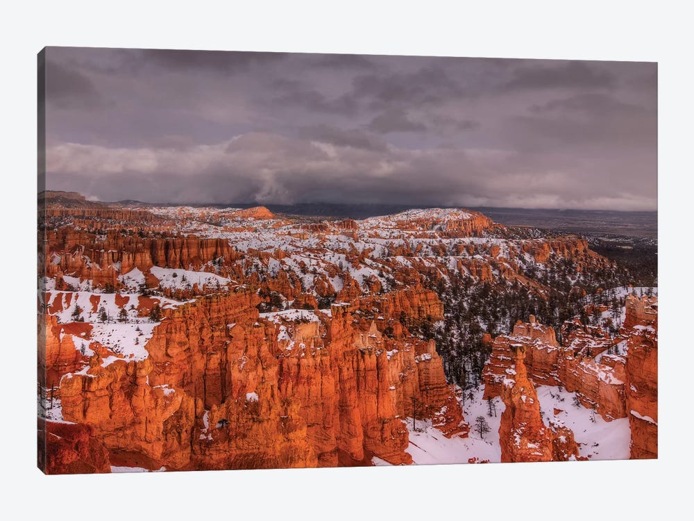 Storm Over Bryce Canyon by Bill Sherrell 1-piece Canvas Wall Art