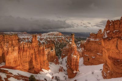 Stormy Sunlight by Bill Sherrell canvas print